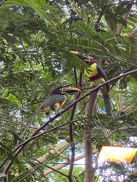 WalletFrens.xyz Co-Founder Meetup in Brazil 2023