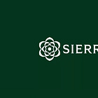 OpenAI Chair's AI startup Sierra at $20M ARR in one year