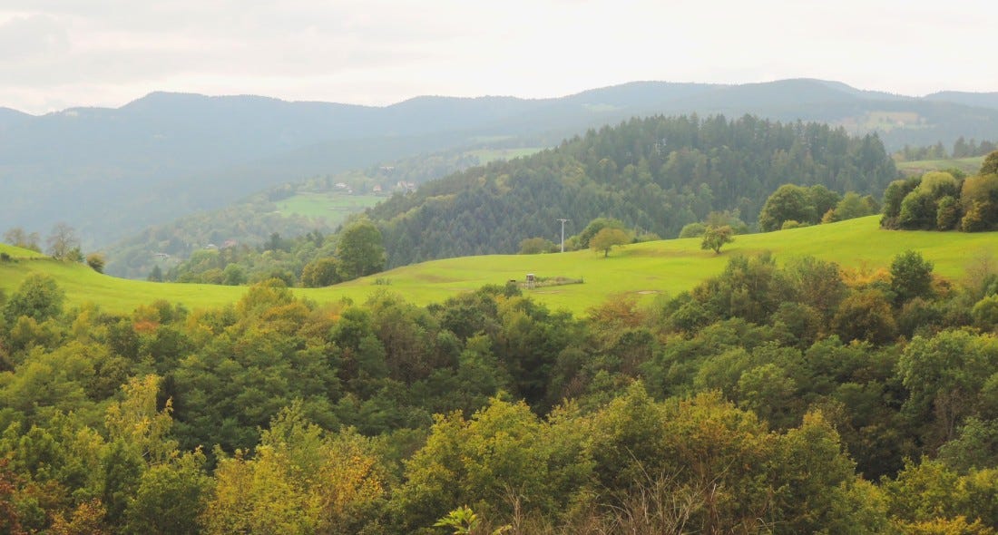 Alrededores de Bildechingen
