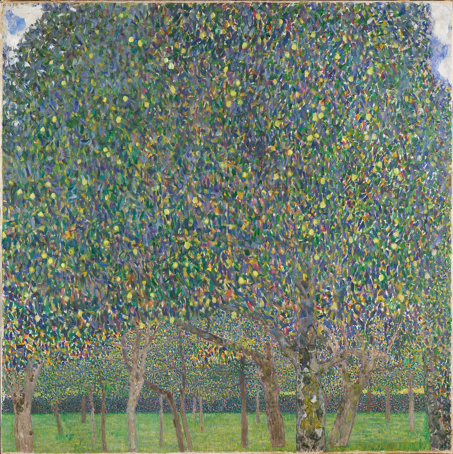 Tree orchard. The leaves of the front tree take up most of the canvas.