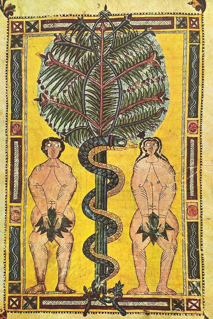 Adam and Eve's Fig Leaves—in Archaeobotany | ArmstrongInstitute.org