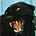 Steveo's avatar