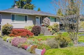 Modest family house with blossoming ...