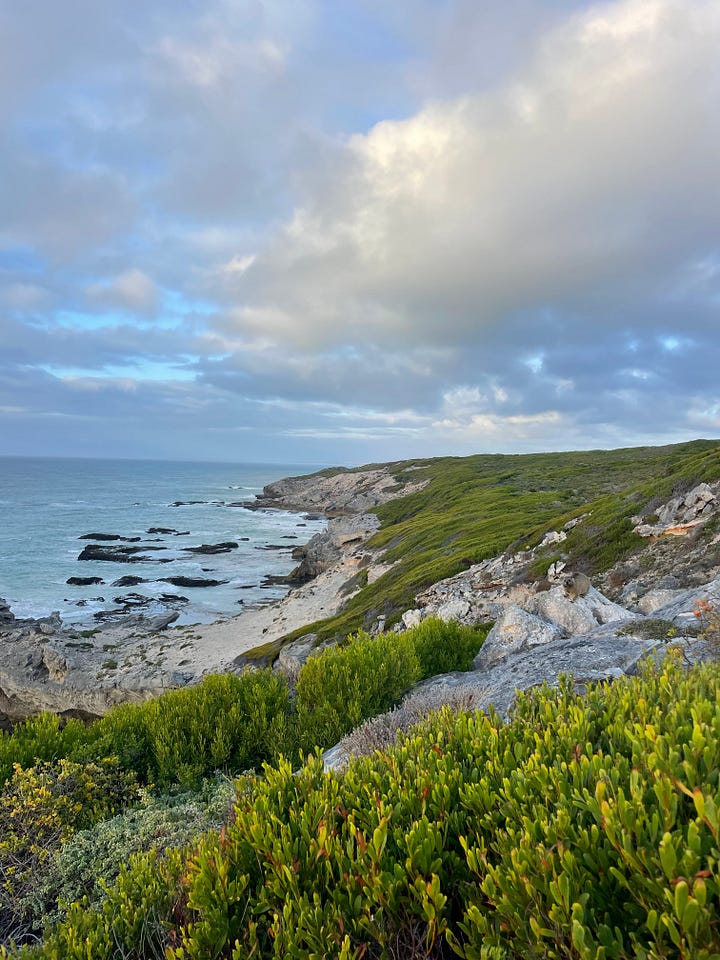 L-R: a river with rocks and trees. A white woman standing at the centre of stone circle. A hand holding a bright orange flower. A coastal path with bright green vegetation and ocean alongside it.
