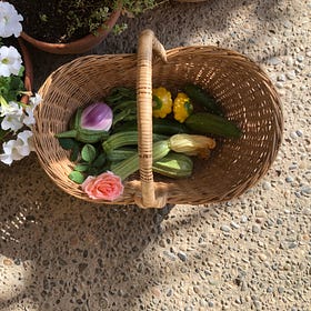 all about my backyard garden
