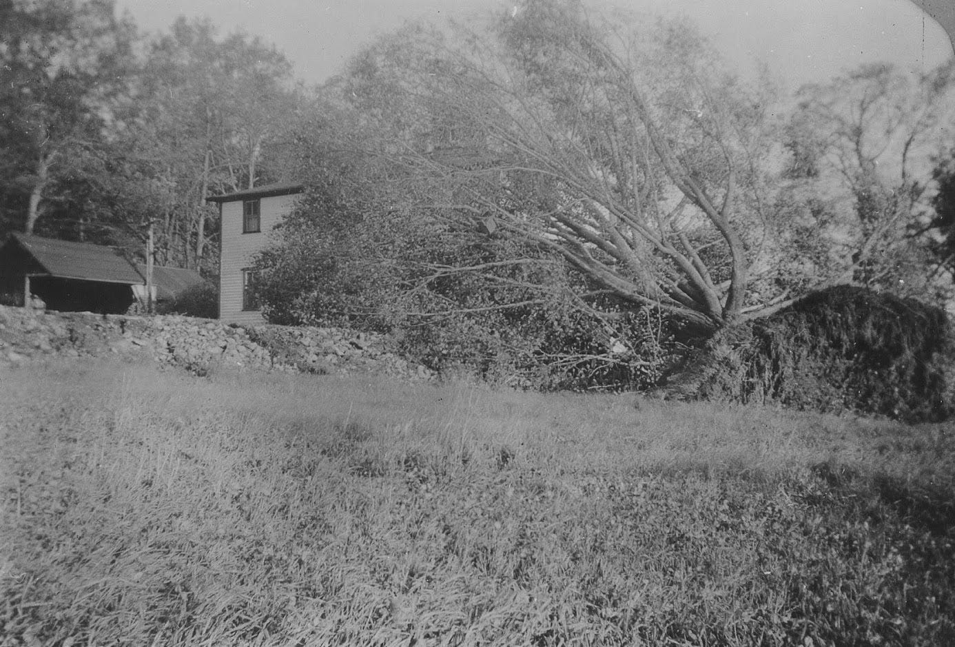 hurricane damage