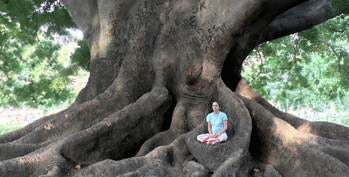 At the Feet of an Ancient Master by premasagar, Picture