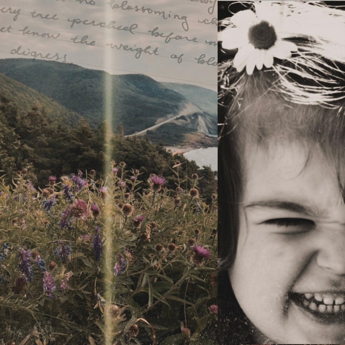 the lighthouse keeper