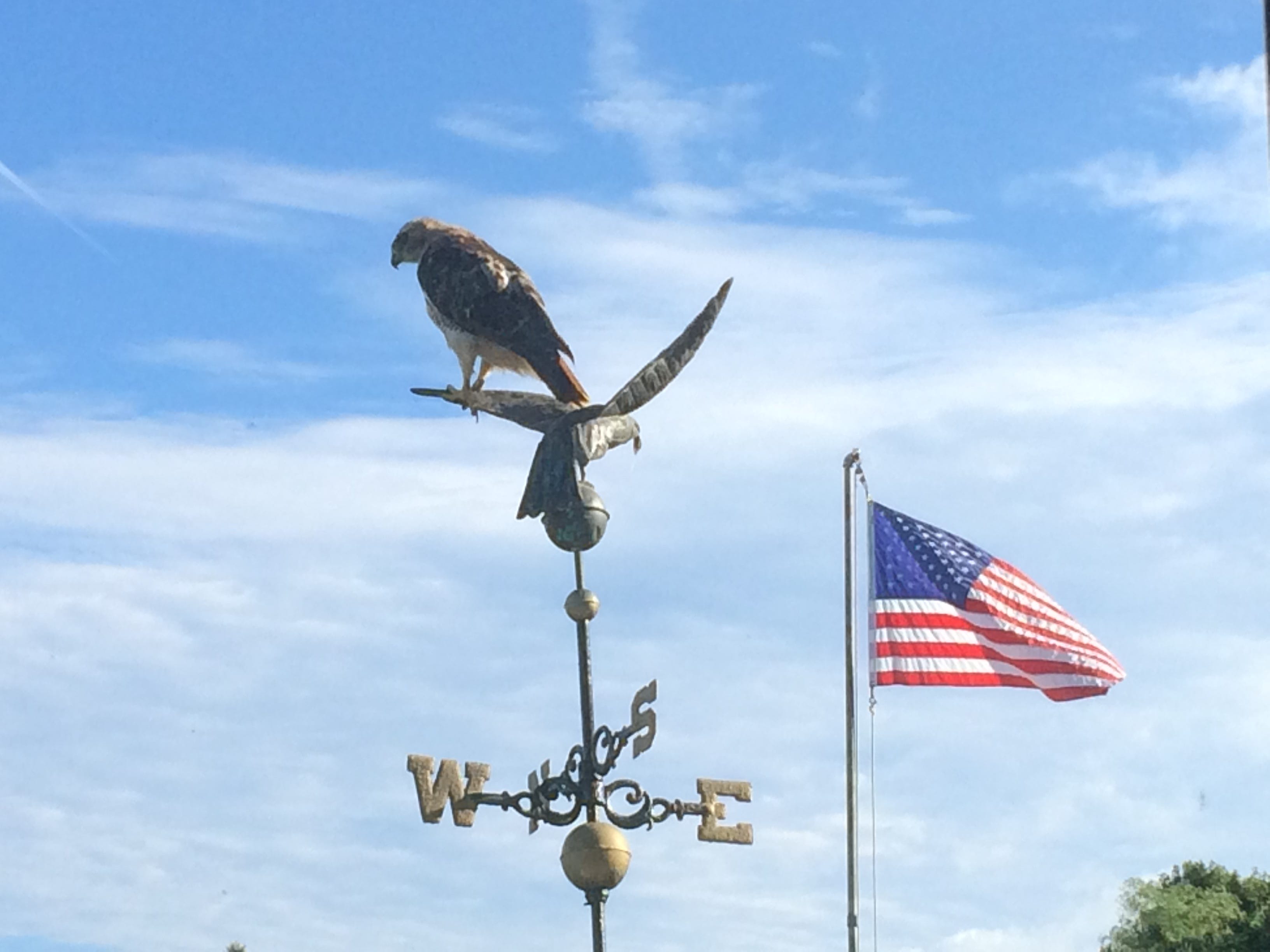 First and Second Thoughts