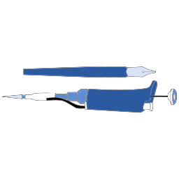 About Academic Writing & Zo