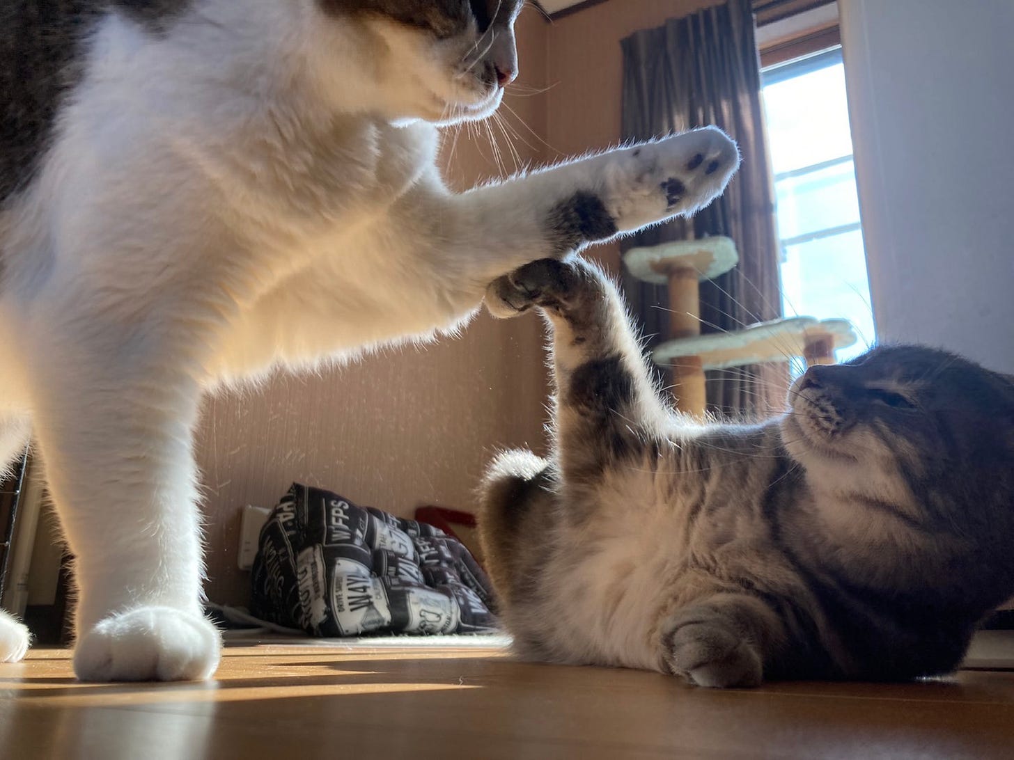 《切り離し、大事！！》