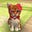 wdm's avatar