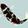 Blackheadkoi's avatar