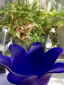 cobalt-spring cobalt-spring