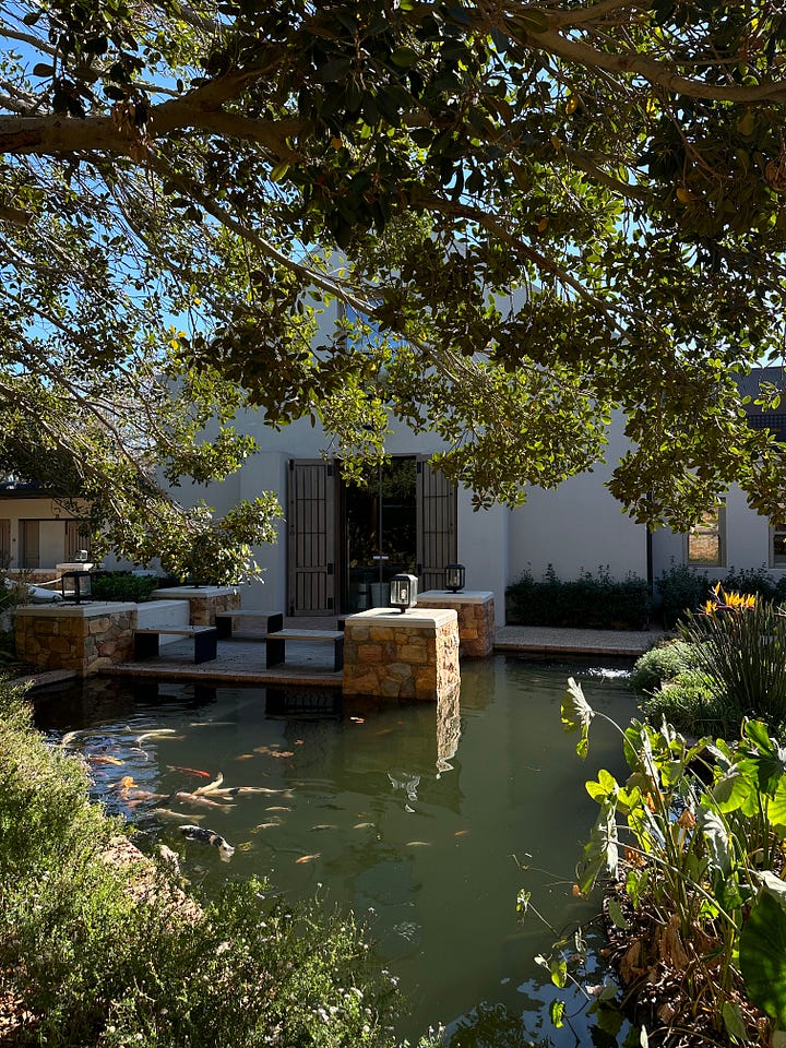 stellenbosch cape town