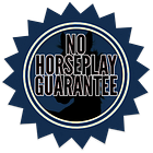 Lesson 6: How to write a guarantee that increases trust & rapport