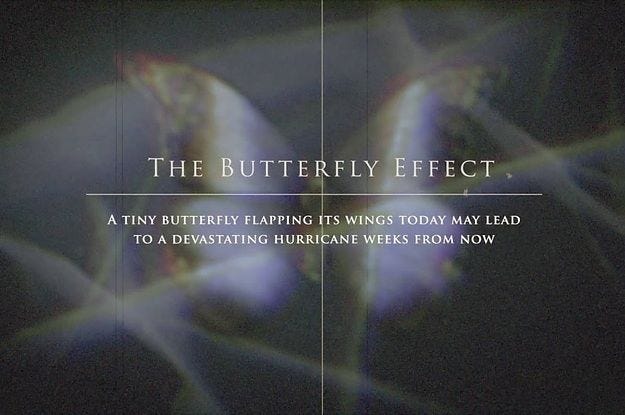 This may contain: the butterfly effect is shown in this image