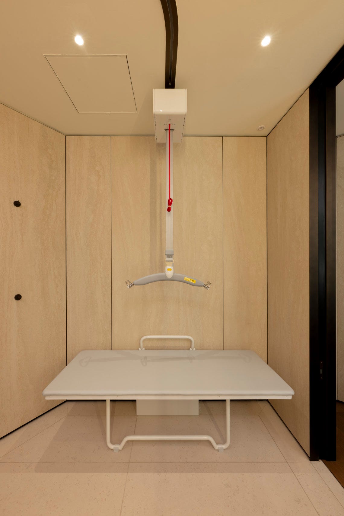 Changing table with an overhead ceiling lift in a clean, accessible room with light wood-paneled walls.