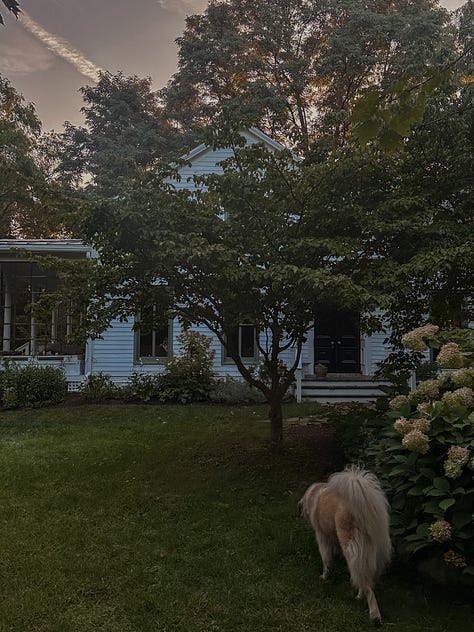 Old farmhouse hudson valley painted windows farrow & ball green smoke
