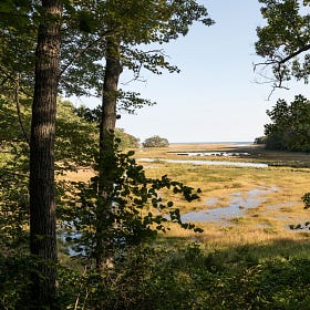Estuary Prayer