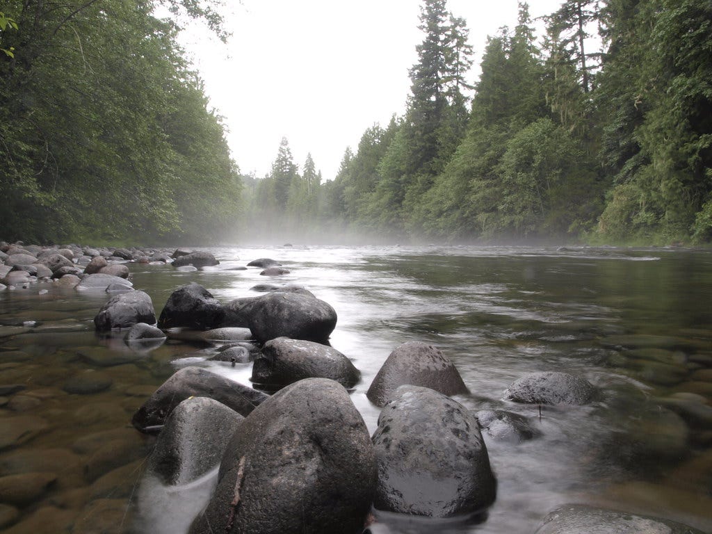 Molalla River Recreation Area Molalla River Recreation Area