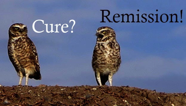 Cure? or Remission? What's the Difference? | Healthicine