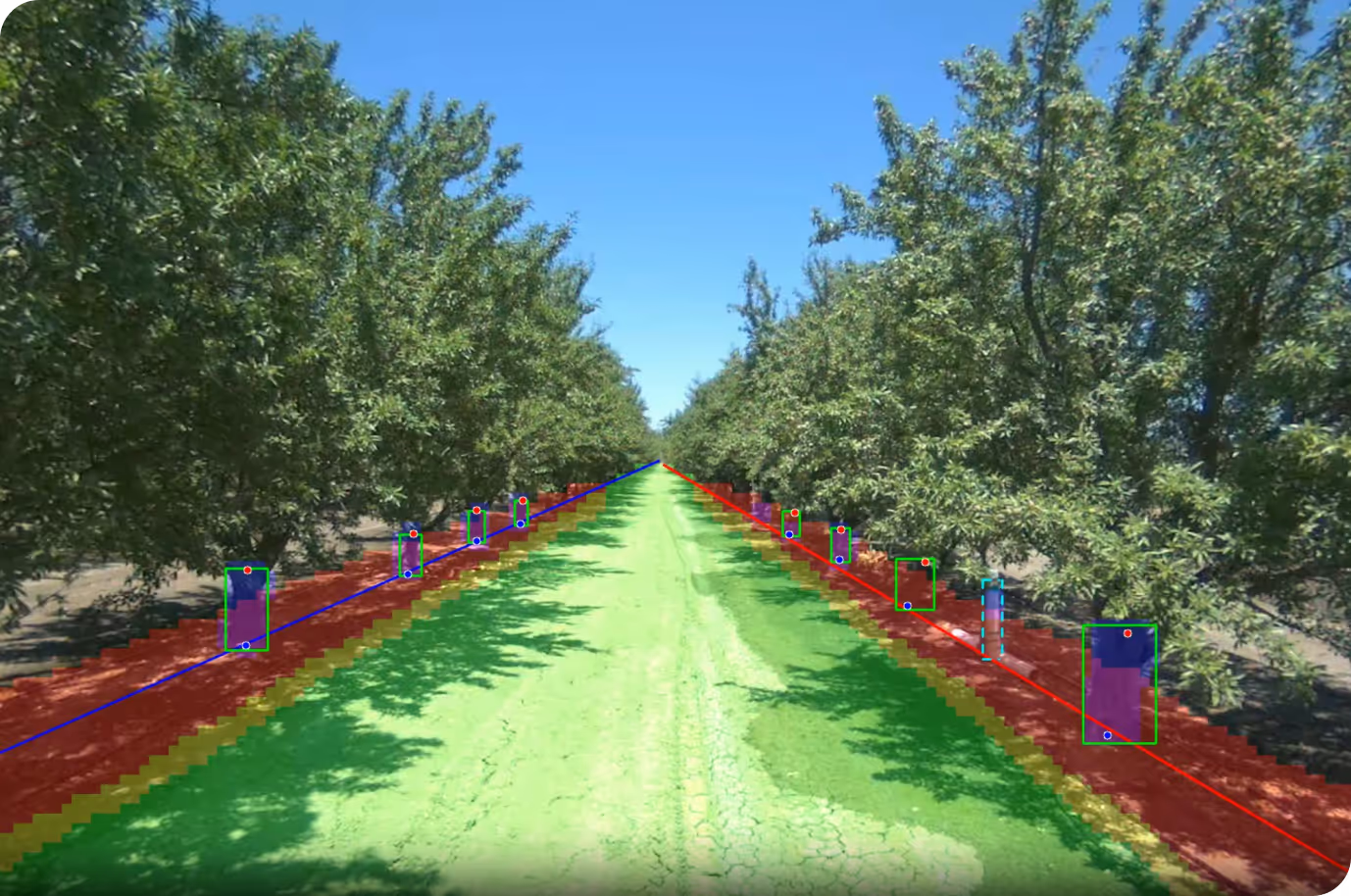 Vision-based understanding ofevery aspect of your orchard,from obstacles to imperfect planting.