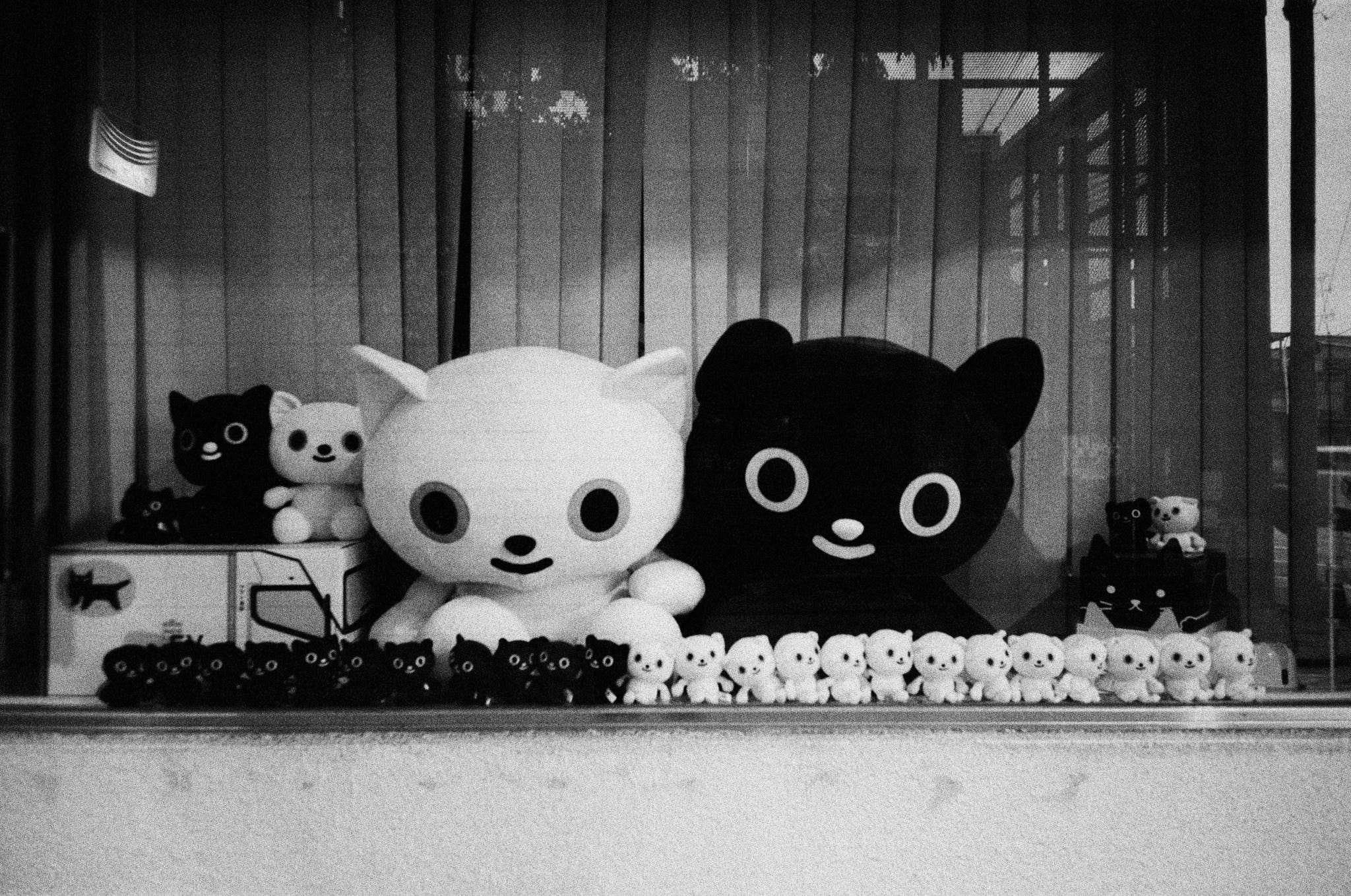 Shooting Neopan 1600 in Japan - by Matt Murray