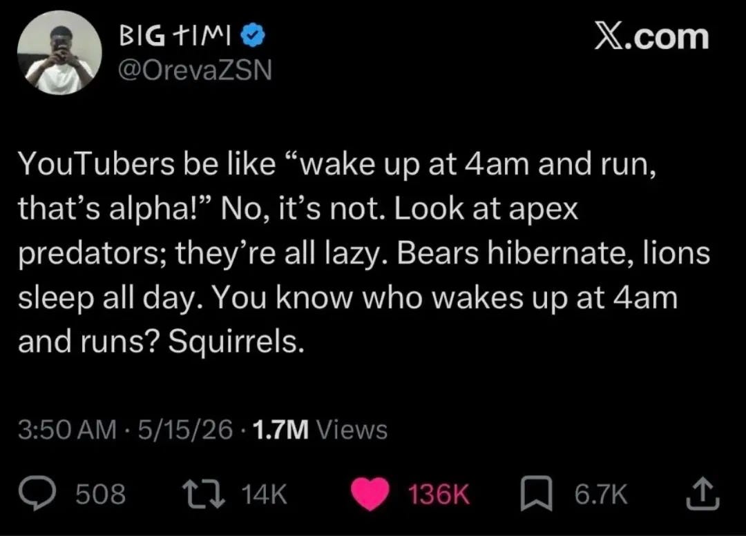 MONDAY MORNING MEME DUMP (#313) - by Tyler Zed