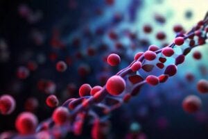 red blood cells