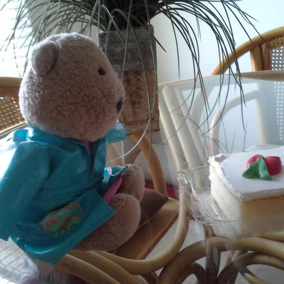 nathaniel behr teddy bear vacation mode