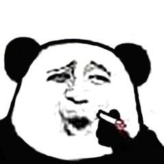 This may contain: a panda bear holding a cell phone to its ear and making a face with it's mouth