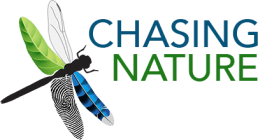 Chasing Nature