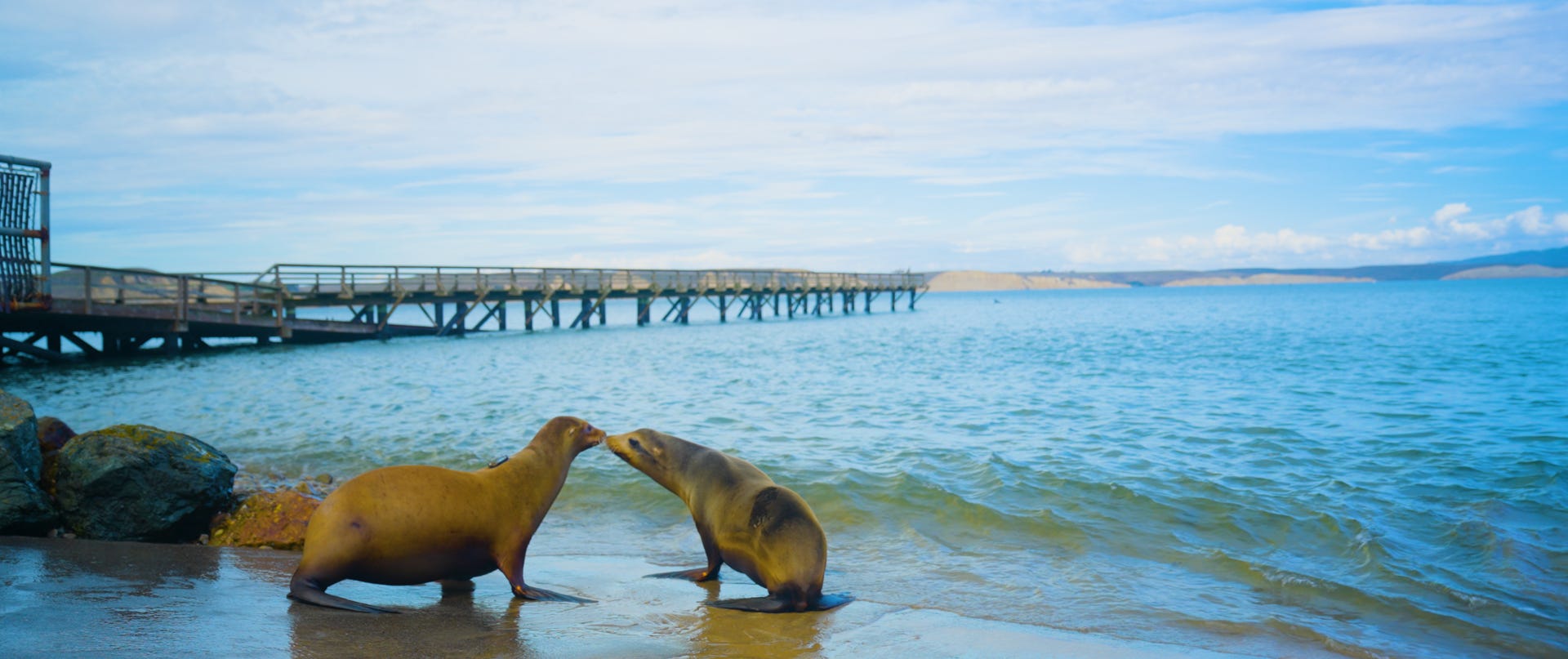 In a World on Fire, a Search for Beauty