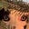 Melissa Barringer's avatar