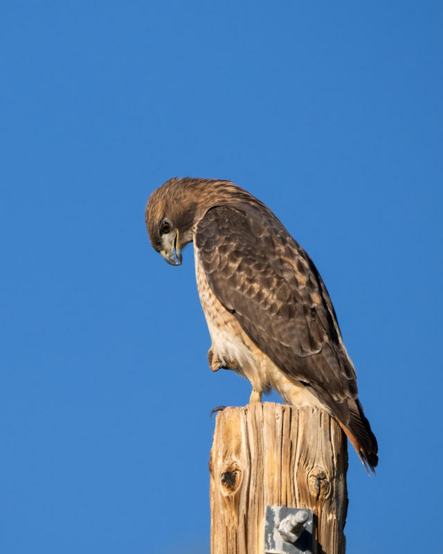 20251116-misc-39-Edit.jpg 20251116-misc-39-Edit.jpg