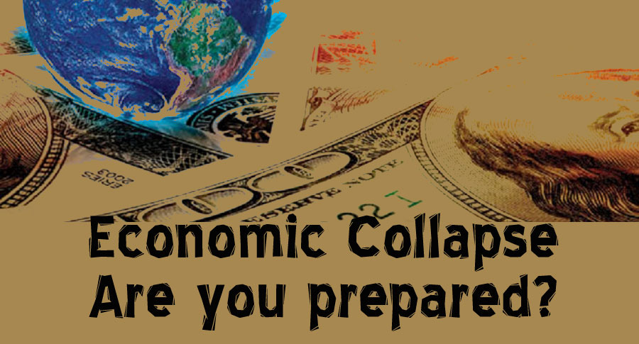Preparing for Economic Collapse Preparing for Economic Collapse