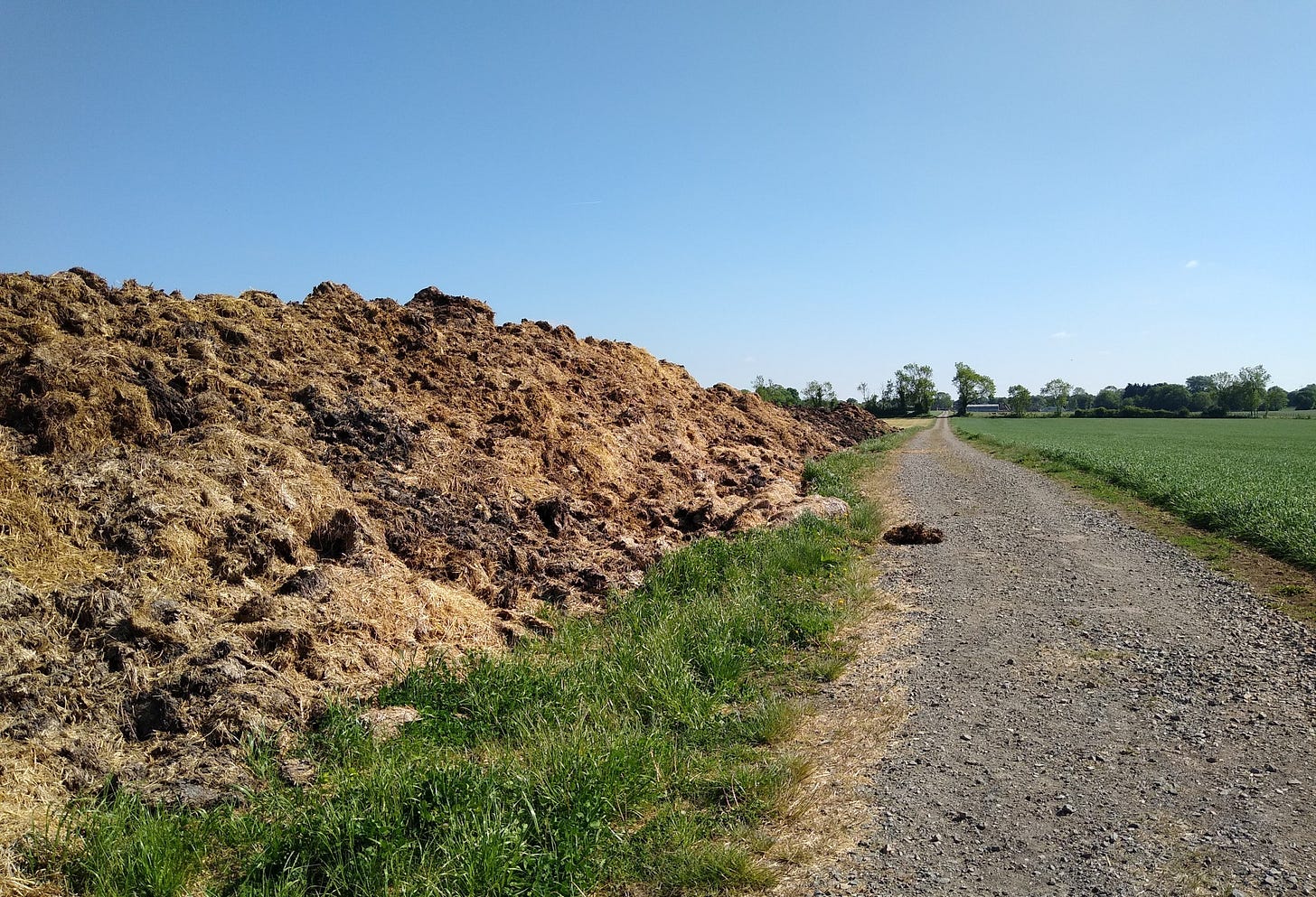 May be an image of road and grass