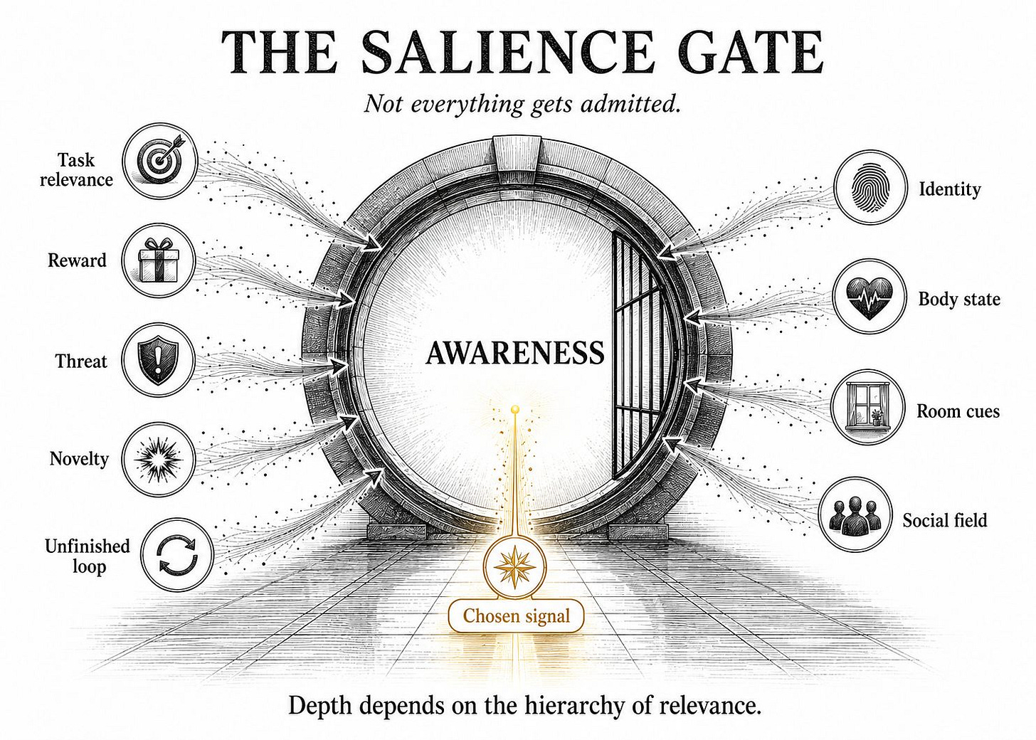 A circular salience gate shows task relevance, reward, threat, novelty, identity, body state, room cues, and social field competing for awareness.