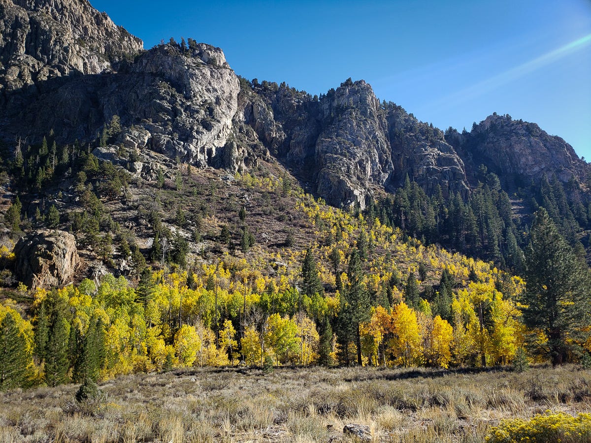 Photo of soaring rocky crags with yellow, orange, and lime green aspens trees at their base. Photo by Jenifer Hanen.