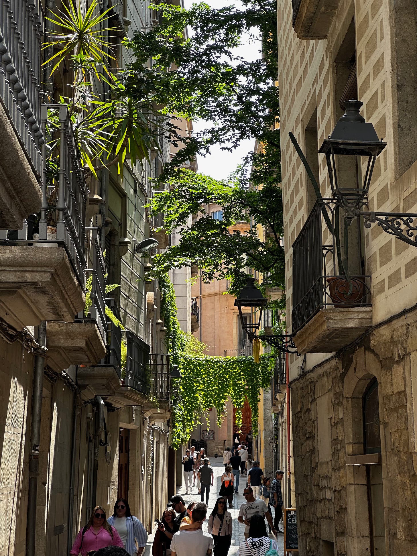 Temps de Flors, Girona, Spain