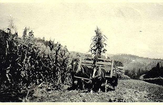 One of the earliest photographs of an unidentified flying object, this picture was taken somewhere in the United States during the 1920s One of the earliest photographs of an unidentified flying object, this picture was taken somewhere in the United States during the 1920s