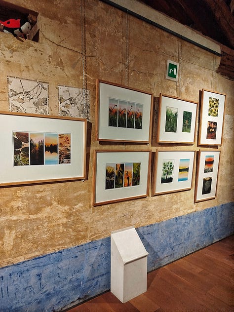 Štěpán Zavřel,Lena Anderson  e le Bibliosacche, Marc Martin, Octavie Wolters, Eric Puybaret, Arianna Papini, Francesca Ballarini, Emma Giuliani, Sarah Cheveau, Suzuko Momoyama,