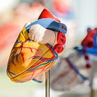 Inside your Heart Health Check - Part 1