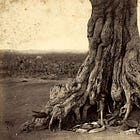 How British Colonizers used Photography to Justify the Occupation of India