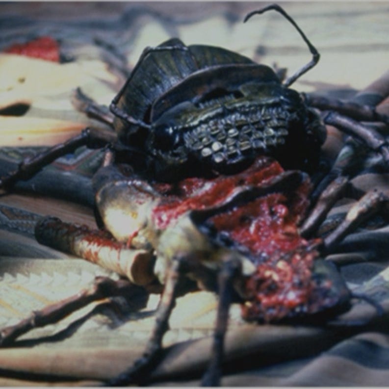 TYPEWRITER'S REVENGE