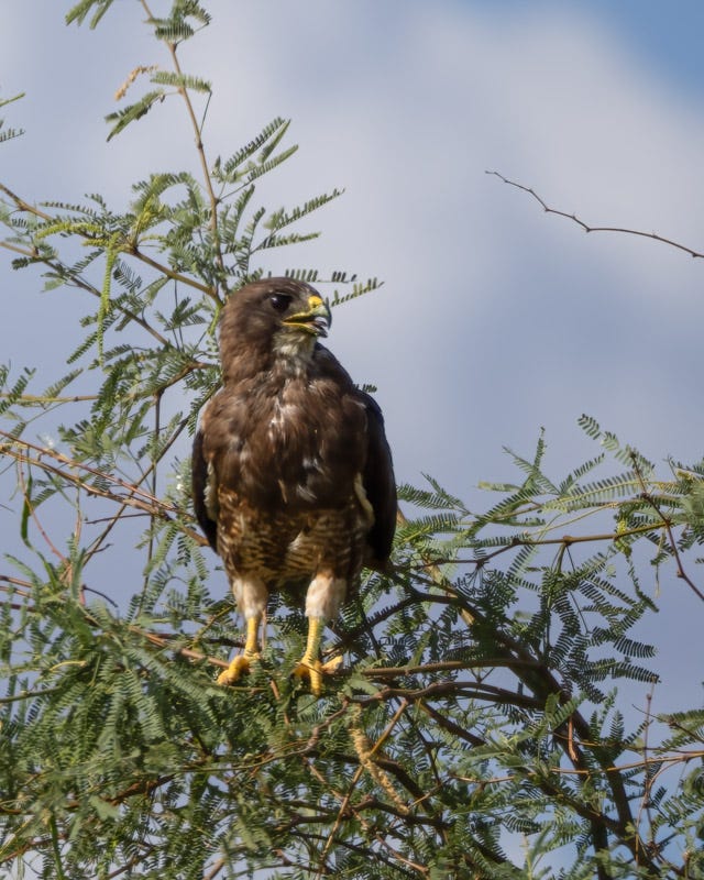 20250801-Manville-753-Edit.jpg 20250801-Manville-753-Edit.jpg