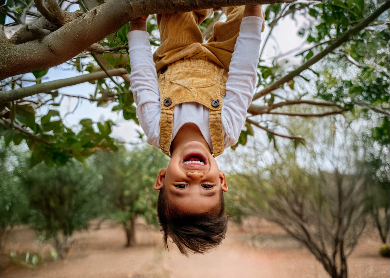 child hanging upside down from tree branch