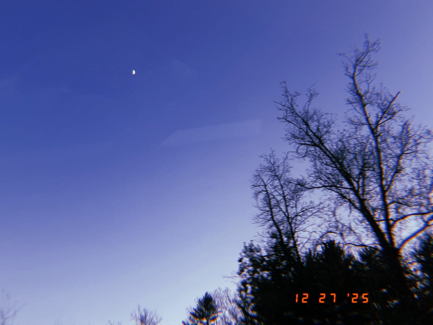 Rethinking Waterfalls/Distro Paths, Sex in Film, Cinema HR, plus 70 films  by women to watch