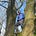 Gareth Bown's avatar